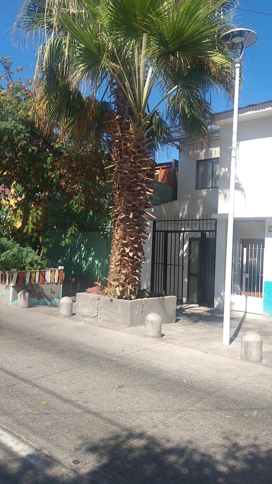 Hostal La Ruca Antofagasta Dış mekan fotoğraf